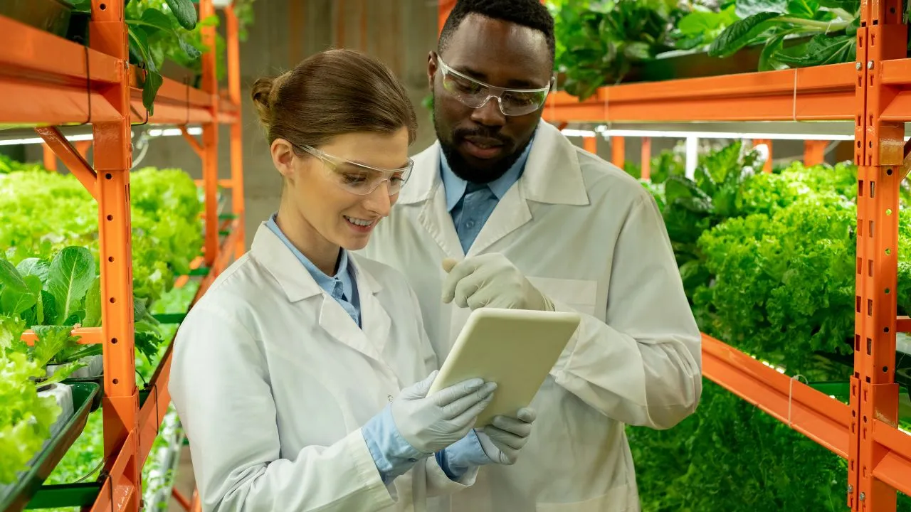 Environmental engineers