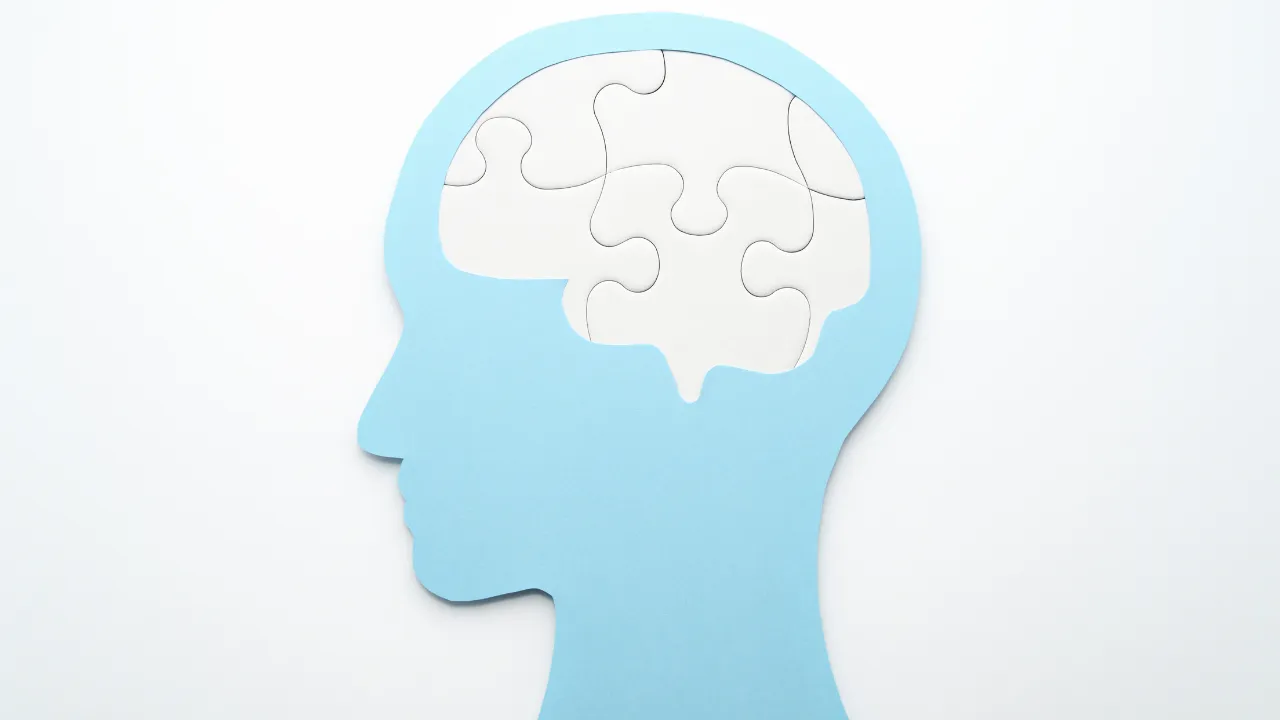 mental health sector