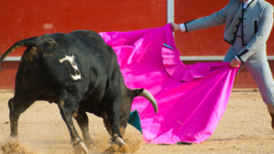 Bull Fighter
