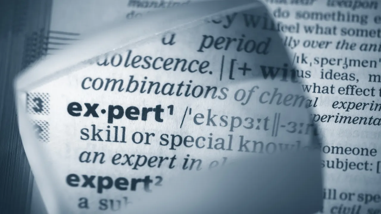 The word expert in the dictionary
