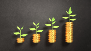Investment growth