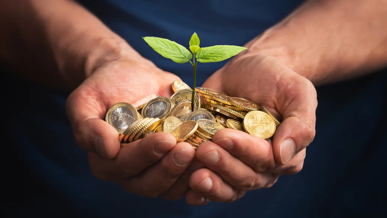 Growth from am investment