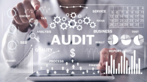 Audit visuals