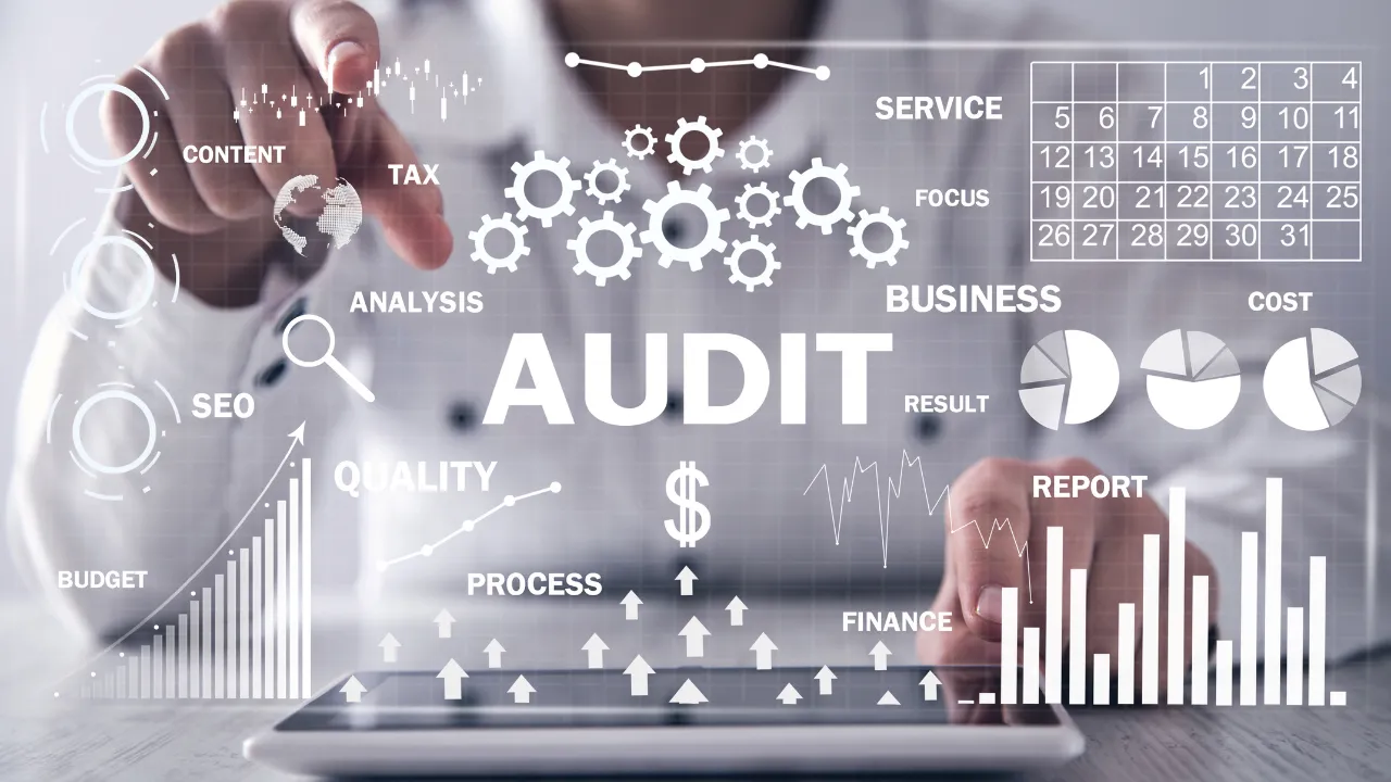 Audit visuals