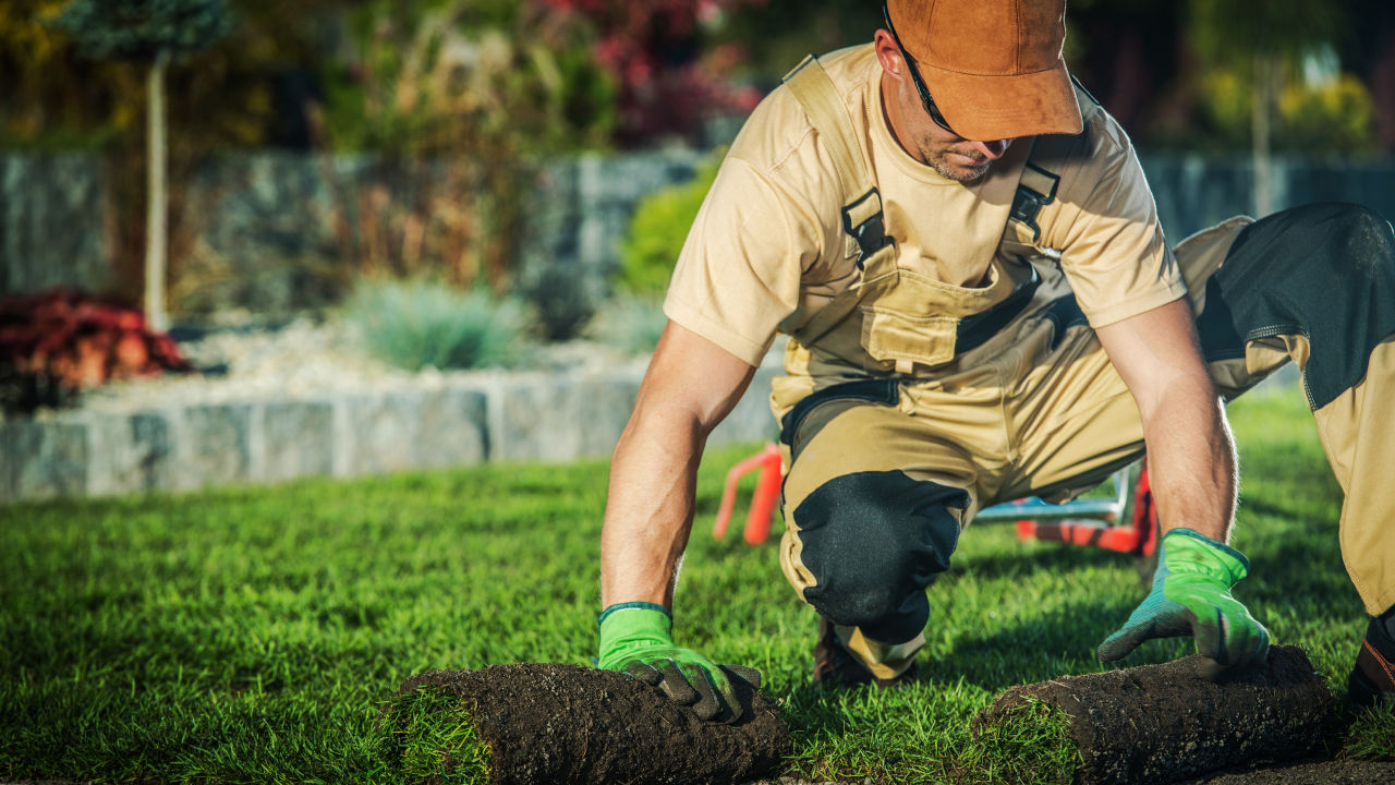 A man wearing a cap and work uniform kneels on a lush green lawn, carefully unrolling a piece of sod.